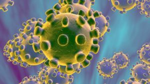 AfHF MEDIA RELEASE: CORONA OUTBREAK UPDATES